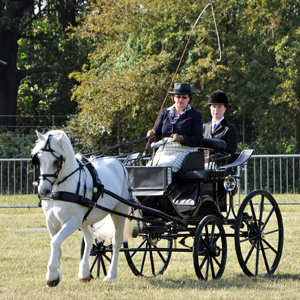 Janet Pilling Dressage